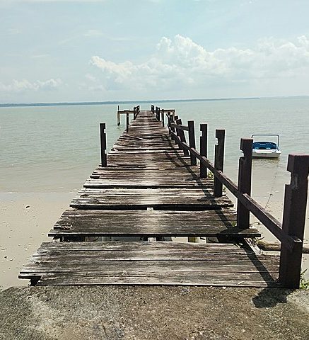 Ujung Kulon Milli Parkı