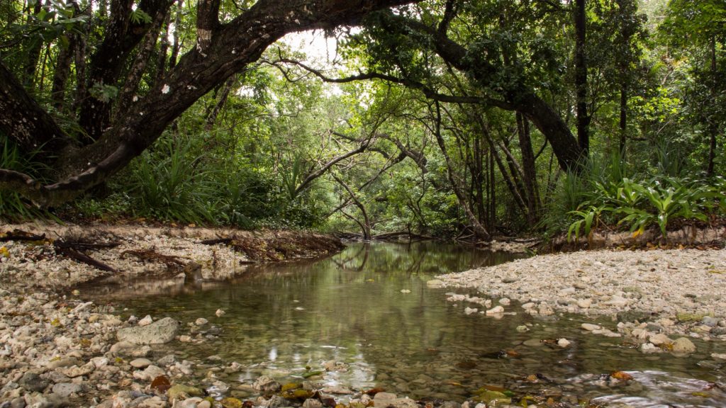 Ujung Kulon Milli Parkı