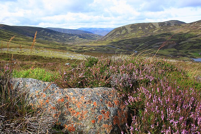 Cairngorms Milli Parkı